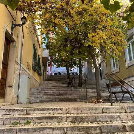 Апартаменты Janelas Verdes - Peaceful Views *